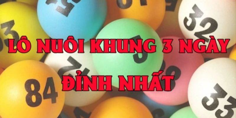 Bí kíp nuôi lô kép khung 3 ngày chuẩn